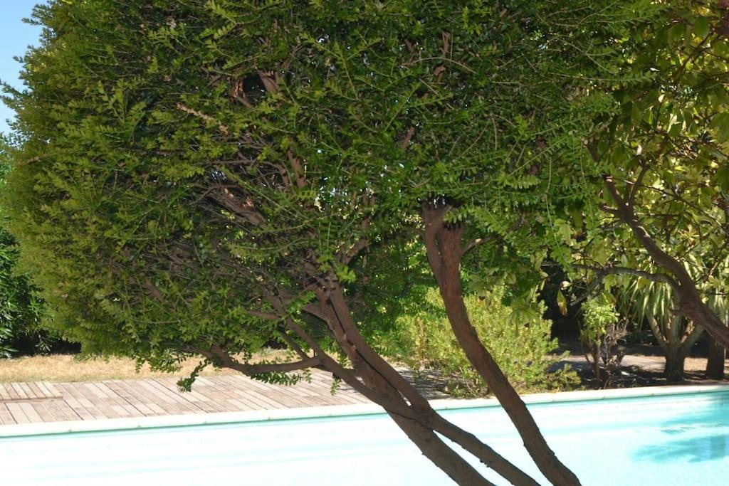 Pour Vous Apartment Meze Bagian luar foto